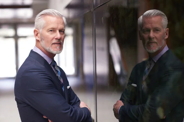 Retrato de hombre de negocios senior — Foto de Stock