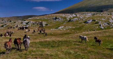 Uçsuz bucaksız yeşil düzlüklerde koşan bir grup, macera, seyahat, liderlik, özgürlük ve doğanın güzelliğini sembolize ediyor. Sinematik ağır çekim