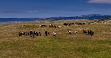 Uçsuz bucaksız yeşil düzlüklerde koşan bir grup, macera, seyahat, liderlik, özgürlük ve doğanın güzelliğini sembolize ediyor. Sinematik ağır çekim