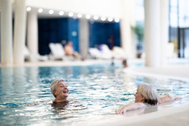 İki son sınıf öğrencisi, havuzda havuza yaslanmış, boş zamanlarının tadını çıkarıyorlar. Arkadaşlık, refah, aktif yaşam tarzı, rahatlama ve sağlıklı yaşlanma kavramı.
