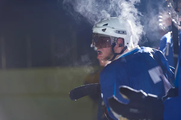 Jugadores de hockey sobre hielo —  Fotos de Stock