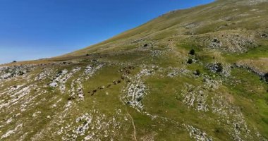 Uçsuz bucaksız yeşil düzlüklerde koşan bir grup, macera, seyahat, liderlik, özgürlük ve doğanın güzelliğini sembolize ediyor. Sinematik ağır çekim