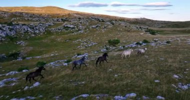 Uçsuz bucaksız yeşil düzlüklerde koşan bir grup, macera, seyahat, liderlik, özgürlük ve doğanın güzelliğini sembolize ediyor. Sinematik ağır çekim