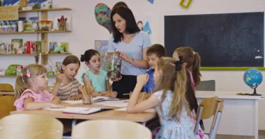 Bir sınıfta fen dersi sırasında bir grup meraklı ilkokul öğrencisine cam kavanozda teraryum bitkisini gösteren bayan öğretmen interaktif öğrenme ve keşfi teşvik ediyor. Sinema yavaşlığı