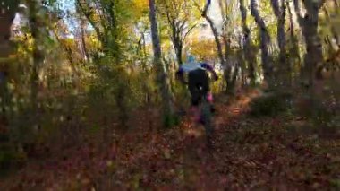 Bir dağ bisikletçisi güneşli bir sonbahar ormanında keyifli bir yolculuk yapar. Titrek sonbahar yeşilliği ve altın ışık, açık hava macerası ve sporun neşesini vurgulayan pitoresk bir sahne yaratır.