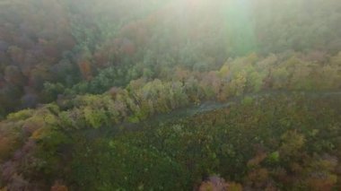 Canlı bir sonbahar ormanı boyunca manzaralı bir dağ bisikletli patikada heyecan verici bir yolculuk, berrak mavi gökyüzünün altındaki uzak şehrin nefes kesen panoramik manzarasıyla son buluyor..