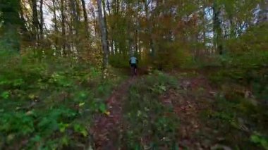 Tek başına bir dağ bisikletçisi, güzel bir sonbahar gününde yapraklarla kaplı orman yolunda manzaralı bir gezinti yapar. Altın güneş ışığı, doğanın neşesini vurgulayarak, canlı sonbahar yapraklarını aydınlatır.