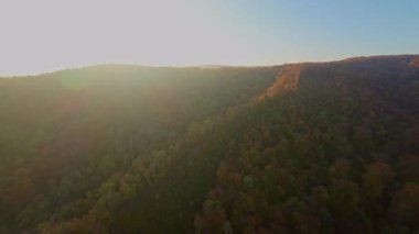 Bir insan dağ bisikletini güzel bir sonbahar ormanında sürüyor, açık hava macerasının ve sağlıklı egzersizin tadını çıkarıyor. Güneş ağaçların arasından parlıyor, titreyen yaprakları aydınlatıyor.
