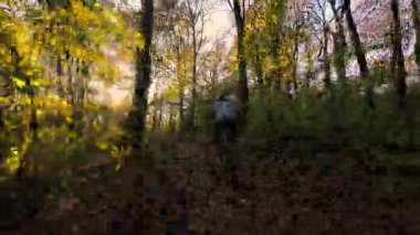 Bir dağ bisikletçisini yakalamak güzel bir sonbahar orman patikasında yolculuk yapmak. Güneş ışığı renkli ağaçların arasından süzülür. Düşen yapraklarla kaplı yolu aydınlatır. Aktif bir yapıyı aydınlatır.