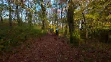 Tek başına bir dağ bisikletçisi, güzel bir sonbahar gününde yapraklarla kaplı orman yolunda manzaralı bir gezinti yapar. Altın güneş ışığı, doğanın neşesini vurgulayarak, canlı sonbahar yapraklarını aydınlatır.