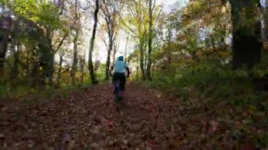 Bir insan dağ bisikletini güzel bir sonbahar ormanında sürüyor, açık hava macerasının ve sağlıklı egzersizin tadını çıkarıyor. Güneş ağaçların arasından parlıyor, titreyen yaprakları aydınlatıyor.