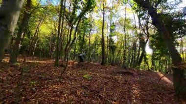 Bir dağ bisikletçisi canlı bir sonbahar ormanında zorlu bir patikada yol alır. Aktif açık hava sporunun tadını çıkarırken, kökleri ve düşmüş yaprakların üzerinde sürerler, doğanın heyecanını ve egzersizlerini yaşarlar..