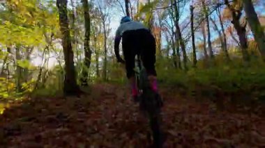 Tek başına bir dağ bisikletçisi, güzel bir sonbahar gününde yapraklarla kaplı orman yolunda manzaralı bir gezinti yapar. Altın güneş ışığı, doğanın neşesini vurgulayarak, canlı sonbahar yapraklarını aydınlatır.