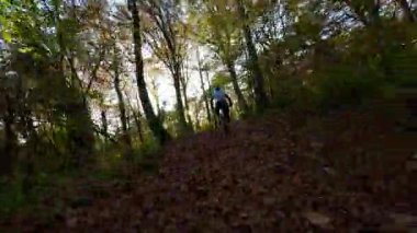 Tek başına bir dağ bisikletçisi, güzel bir sonbahar gününde yapraklarla kaplı orman yolunda manzaralı bir gezinti yapar. Altın güneş ışığı, doğanın neşesini vurgulayarak, canlı sonbahar yapraklarını aydınlatır.