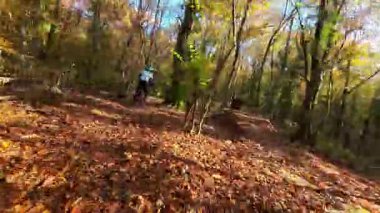 Dağ bisikleti sürmekten hoşlanan bir insan, güneşli bir ormanda canlı sonbahar yapraklarıyla kaplı dolambaçlı bir patikada. Bu açık hava aktivitesi doğanın güzelliğini ve maceranın heyecanını gözler önüne seriyor..