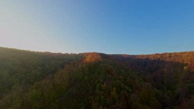 Gökyüzü perspektifi, sonbahar yeşilliklerinin çarpıcı güzelliğini yakalar. Ağaçlar, parlak mavi gökyüzünün altında, parlak bir renk paleti sergiler..