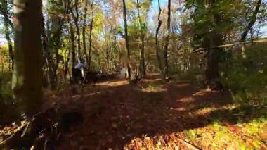 Canlı bir sonbahar ormanında dinamik bir patikada gezinen bir dağ bisikletçisinin heyecanını yaşayın. Aktif bir açık hava yaşam tarzını vurgulayan, renkli yapraklar arasından güneş ışığı filtreleri.