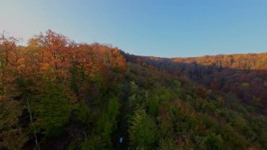 Bir insan dağ bisikletini güzel bir sonbahar ormanında sürüyor, açık hava macerasının ve sağlıklı egzersizin tadını çıkarıyor. Güneş ağaçların arasından parlıyor, titreyen yaprakları aydınlatıyor.