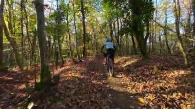 Bir dağ bisikletçisi canlı bir sonbahar ormanında zorlu bir patikada yol alır. Aktif açık hava sporunun tadını çıkarırken, kökleri ve düşmüş yaprakların üzerinde sürerler, doğanın heyecanını ve egzersizlerini yaşarlar..