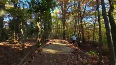 Bir dağ bisikletçisi canlı bir sonbahar ormanında zorlu bir patikada yol alır. Aktif açık hava sporunun tadını çıkarırken, kökleri ve düşmüş yaprakların üzerinde sürerler, doğanın heyecanını ve egzersizlerini yaşarlar..