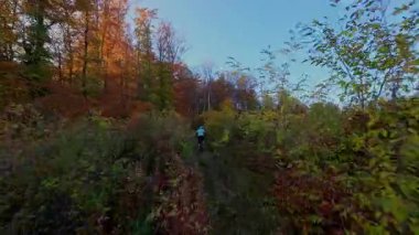 Canlı bir sonbahar ormanı boyunca manzaralı bir dağ bisikletli patikada heyecan verici bir yolculuk, berrak mavi gökyüzünün altındaki uzak şehrin nefes kesen panoramik manzarasıyla son buluyor..