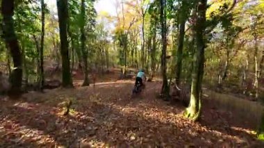 Dağ bisikleti sürmekten hoşlanan bir insan, güneşli bir ormanda canlı sonbahar yapraklarıyla kaplı dolambaçlı bir patikada. Bu açık hava aktivitesi doğanın güzelliğini ve maceranın heyecanını gözler önüne seriyor..