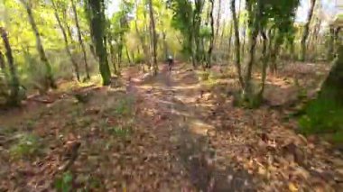 Aktif bir insan, sonbaharda manzaralı bir orman patikasında eğlenceli bir dağ bisikleti yolculuğundan hoşlanır. Güneş ışığı renkli gölgeliklerden süzülür, düşen yapraklarla kaplı yolu aydınlatır.