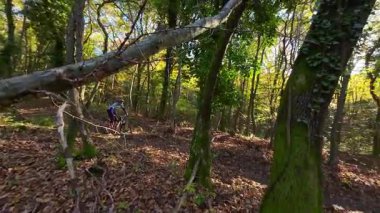 Bir dağ bisikletçisi canlı bir sonbahar ormanında zorlu bir patikada yol alır. Aktif açık hava sporunun tadını çıkarırken, kökleri ve düşmüş yaprakların üzerinde sürerler, doğanın heyecanını ve egzersizlerini yaşarlar..