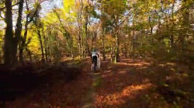 Canlı bir sonbahar ormanında dinamik bir patikada gezinen bir dağ bisikletçisinin heyecanını yaşayın. Aktif bir açık hava yaşam tarzını vurgulayan, renkli yapraklar arasından güneş ışığı filtreleri.