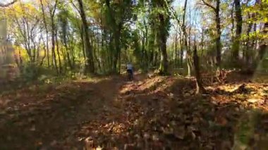 Bir dağ bisikletçisi canlı bir sonbahar ormanında zorlu bir patikada yol alır. Aktif açık hava sporunun tadını çıkarırken, kökleri ve düşmüş yaprakların üzerinde sürerler, doğanın heyecanını ve egzersizlerini yaşarlar..