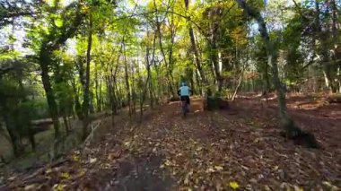 Bir dağ bisikletçisi canlı bir sonbahar ormanında zorlu bir patikada yol alır. Aktif açık hava sporunun tadını çıkarırken, kökleri ve düşmüş yaprakların üzerinde sürerler, doğanın heyecanını ve egzersizlerini yaşarlar..