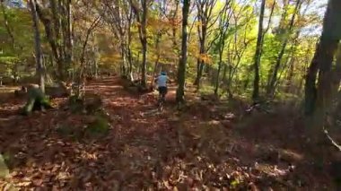 Canlı bir sonbahar ormanında dinamik bir patikada gezinen bir dağ bisikletçisinin heyecanını yaşayın. Aktif bir açık hava yaşam tarzını vurgulayan, renkli yapraklar arasından güneş ışığı filtreleri.