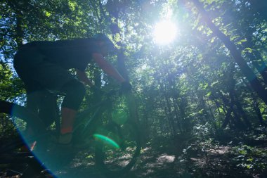 Bir bisikletçi, sık bir ormanda elektrikli bir dağ bisikletiyle ağaçlardan süzülen güneş ışığıyla mercek patlamaları yaratıyor. Canlı yeşiller ve engebeli patikalar macerayı, zindeliği ve...