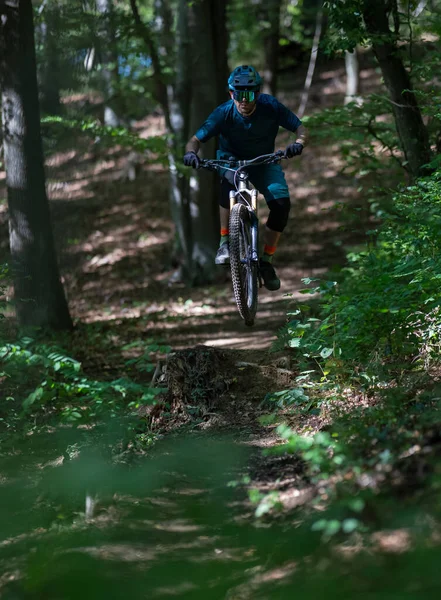 Bir kask ve koruyucu giysi giyen odaklanmış bir sürücü, toprak orman yolunda küçük bir atlayışı temizler, atletizm ve bereketli ağaçlar ve benekli ışık ile açık hava macerası sergiler..