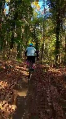 Mavi dişli bir sürücünün dikey FPV görüntüsü elektrikli bir dağ bisikleti üzerinde ağaçlık bir patikada, miğferinde güneşli, yapraklı bir orman sahnesinde benekli ışık ve yosunlu zemin ile geziniyor..