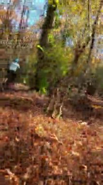 Mavi dişli bir sürücünün dikey FPV görüntüsü elektrikli bir dağ bisikleti üzerinde ağaçlık bir patikada, miğferinde güneşli, yapraklı bir orman sahnesinde benekli ışık ve yosunlu zemin ile geziniyor..