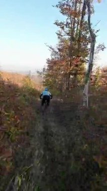 Tek başına bir dağ bisikletçisi, güzel bir sonbahar gününde yapraklarla kaplı orman yolunda manzaralı bir gezinti yapar. Altın güneş ışığı, doğanın neşesini vurgulayarak, canlı sonbahar yapraklarını aydınlatır.