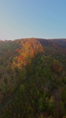 Canlı bir sonbahar ormanı boyunca manzaralı bir dağ bisikletli patikada heyecan verici bir yolculuk, berrak mavi gökyüzünün altındaki uzak şehrin nefes kesen panoramik manzarasıyla son buluyor..