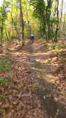 Mavi dişli bir sürücünün dikey FPV görüntüsü elektrikli bir dağ bisikleti üzerinde ağaçlık bir patikada, miğferinde güneşli, yapraklı bir orman sahnesinde benekli ışık ve yosunlu zemin ile geziniyor..