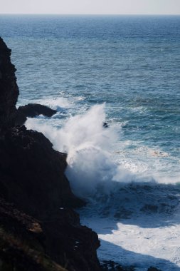 Dalgaların koyu kayalıklara çarptığı, sisli ve mavi bir okyanusun üzerinden fışkırdığı güçlü bir sahil manzarası. Doğal, dramatik bir an. Sahilin gücünü ve güzelliğini yakalıyor..