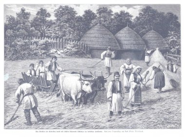 Köyün bir kırsal kesiminde köylüler sığır güder, tarla sürer ve sazlık kulübelerin etrafında toplanırlar. Geleneksel giysi ve toplumsal kırsal yaşam klasik tarım kültürünü pastoral bir ortamda taşır