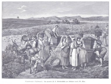 Geleneksel elbiseli kadınların üzüm topladığı, sepet yüklediği ve kırsal alanda varilli ve eşekli ürünler taşıdığı Dalmaçya hasat sahnesi. Kabartma.