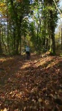 Mavi dişli bir sürücünün dikey FPV görüntüsü elektrikli bir dağ bisikleti üzerinde ağaçlık bir patikada, miğferinde güneşli, yapraklı bir orman sahnesinde benekli ışık ve yosunlu zemin ile geziniyor..