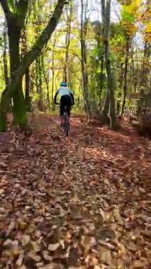 Mavi dişli bir sürücünün dikey FPV görüntüsü elektrikli bir dağ bisikleti üzerinde ağaçlık bir patikada, miğferinde güneşli, yapraklı bir orman sahnesinde benekli ışık ve yosunlu zemin ile geziniyor..