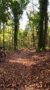 Mavi dişli bir sürücünün dikey FPV görüntüsü elektrikli bir dağ bisikleti üzerinde ağaçlık bir patikada, miğferinde güneşli, yapraklı bir orman sahnesinde benekli ışık ve yosunlu zemin ile geziniyor..