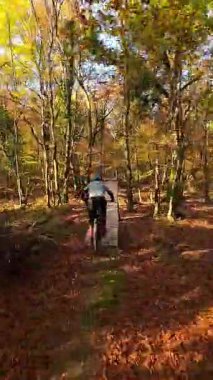 Canlı bir sonbahar ormanında dinamik bir patikada gezinen bir dağ bisikletçisinin heyecanını yaşayın. Aktif bir açık hava yaşam tarzını vurgulayan, renkli yapraklar arasından güneş ışığı filtreleri.