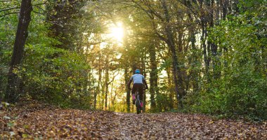 Günışığı sonbaharda ağaçların arasından süzülürken bir bisikletçi yapraklı bir orman yolu boyunca yol alır. Bu barışçıl açık hava sahnesi zindelik, keşif ve doğanın güzelliğini yansıtıyor..