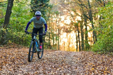 Sonbahar orman gezisi: dağ bisikleti süren bir bisikletçi ağaçların arasından süzülen, açık hava fitness ve mevsimsel renkleri yakalayan yapraklarla kaplı bir patikadan geçer..