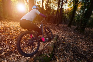 Bir bisikletçi, sonbaharda güneş ışığıyla kaplı yapraklarla kaplı bir ormanda dağ bisikleti sürüyor. Sürücü bir kask ve pembe çorap giyer, dinamik bir spor ve keşif anı yakalar..