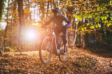 Bir bisikletçi, sonbaharda yapraklarla kaplı orman patikası boyunca dağ bisikleti sürüyor ve ağaçların arasından güneş ışığı çıkıyor. Spor, macera ve doğayı ön plana çıkaran enerjik, açık hava sahnesi.